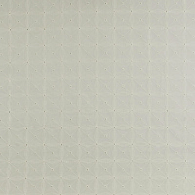 Carolina - Light Cream