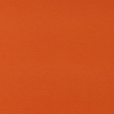 Milan - Pumpkin Orange Viscose Rich Ponte de Roma Fabric Main Image from Patternsandplains.com