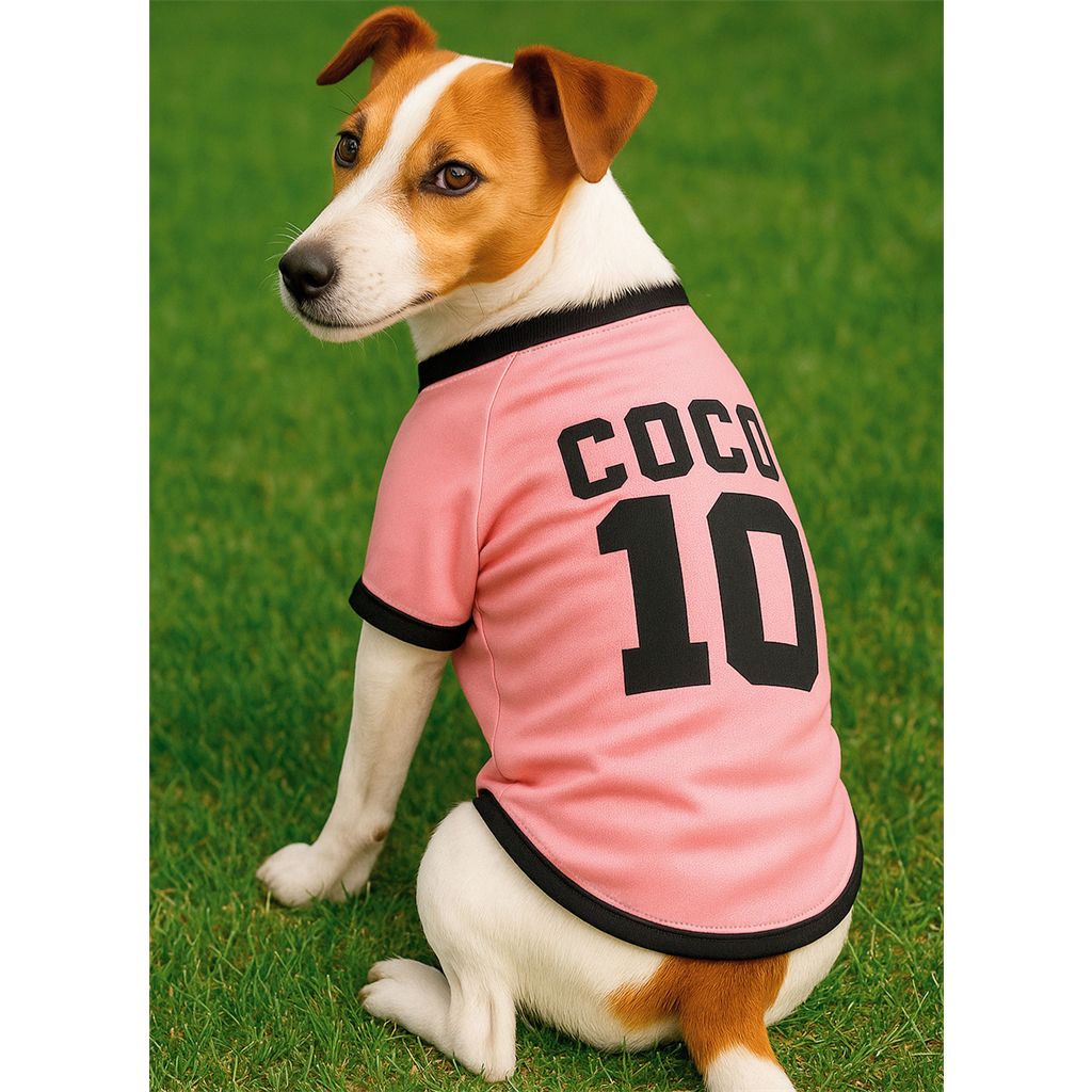 Simplicity Sewing Pattern S3183 Sports Team Inspired Dog Clothes 3183 Image 2 From Patternsandplains.com