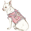 Simplicity Sewing Pattern S9970 Dog Coats 9970 Image 2 From Patternsandplains.com