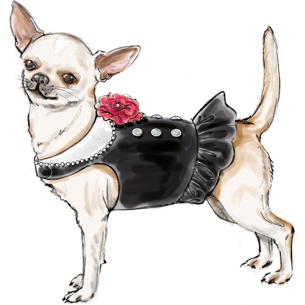 Simplicity Sewing Pattern S9970 Dog Coats 9970 Image 3 From Patternsandplains.com