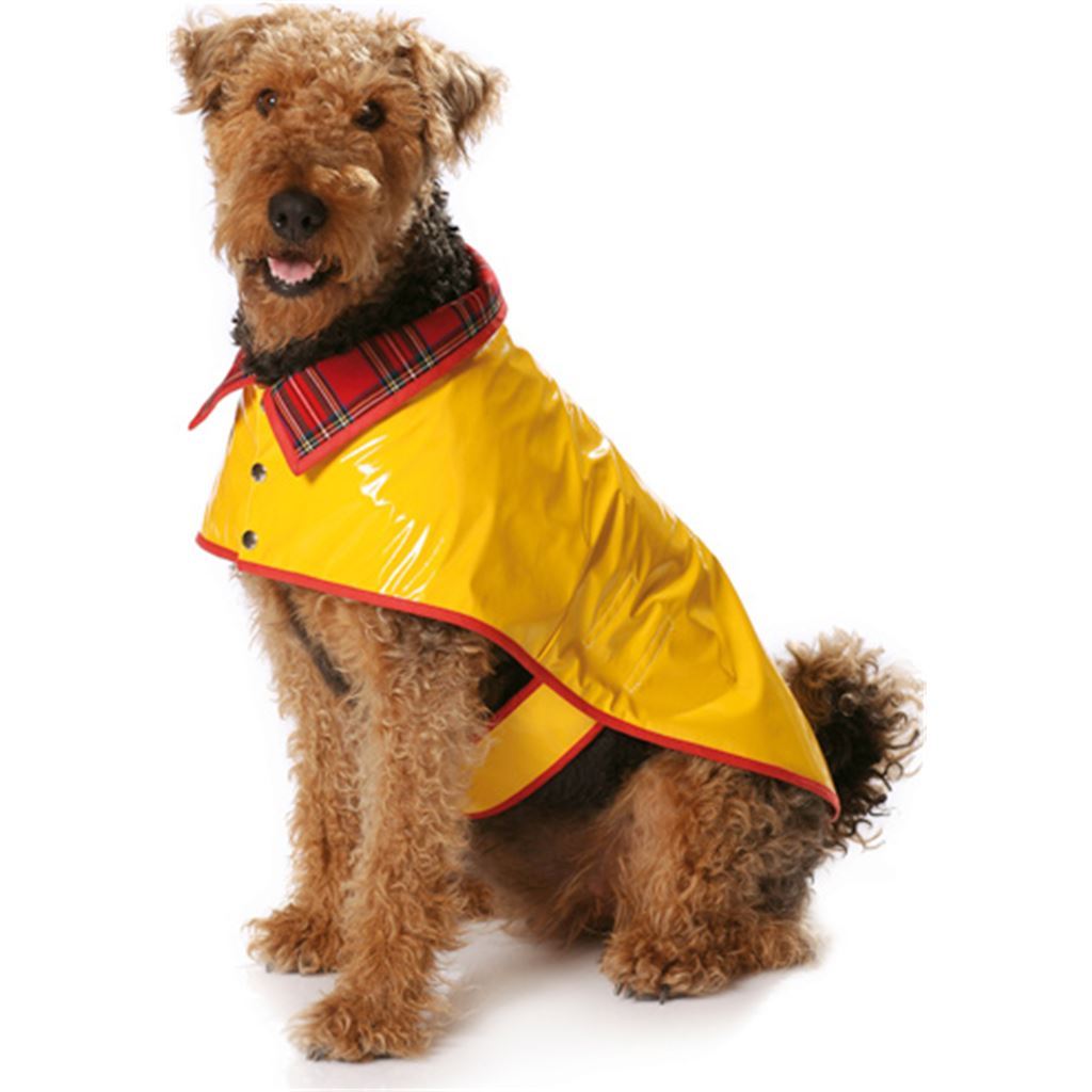 Burda B7752 Dog Coat Sewing Pattern 7752 Image 2 From Patternsandplains.com