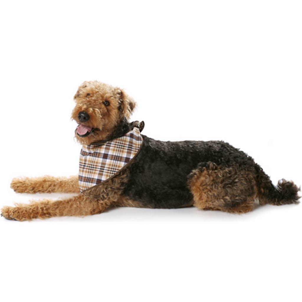 Burda B7752 Dog Coat Sewing Pattern 7752 Image 8 From Patternsandplains.com