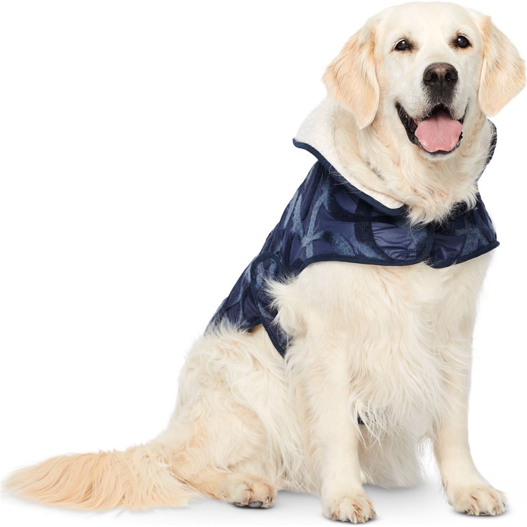 Burda Style Pattern 6049 Dog Coat B6049 Image 2 From Patternsandplains.com