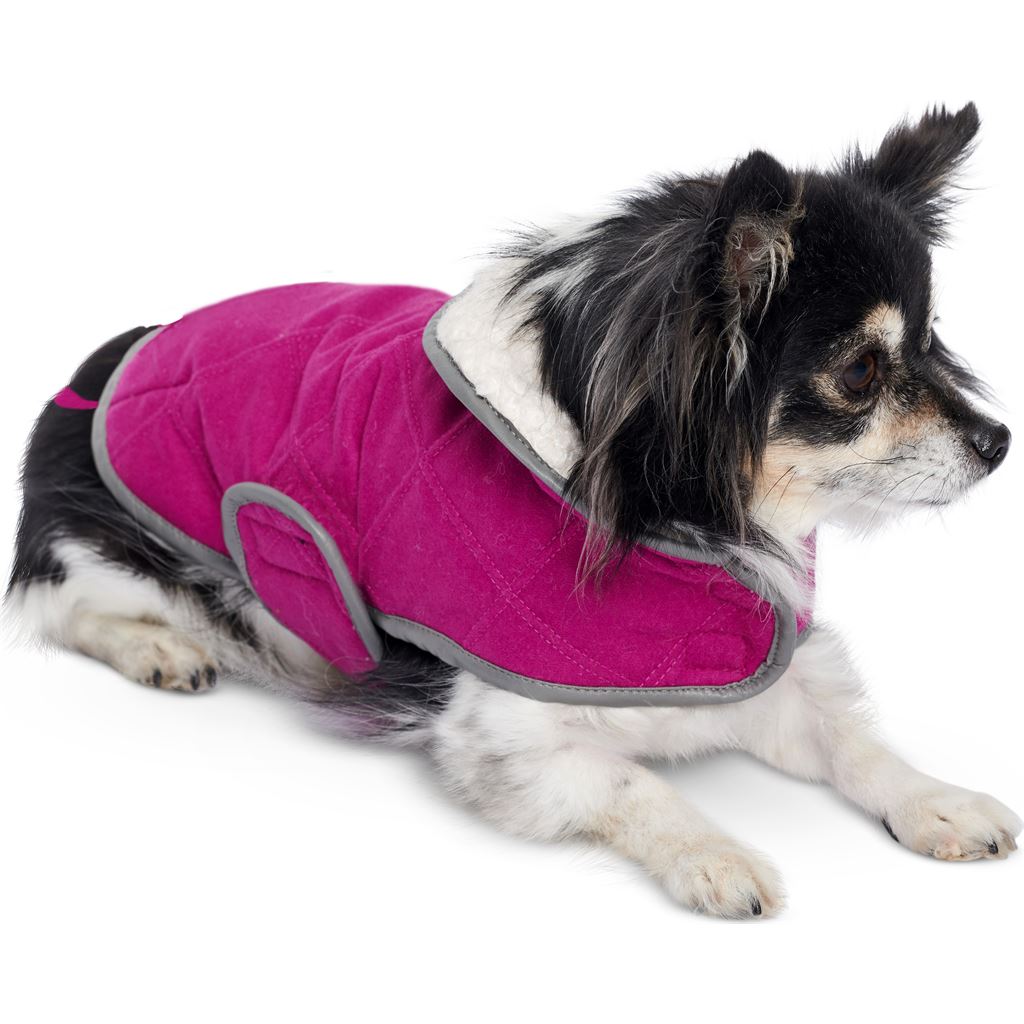 Burda Style Pattern 6049 Dog Coat B6049 Image 5 From Patternsandplains.com