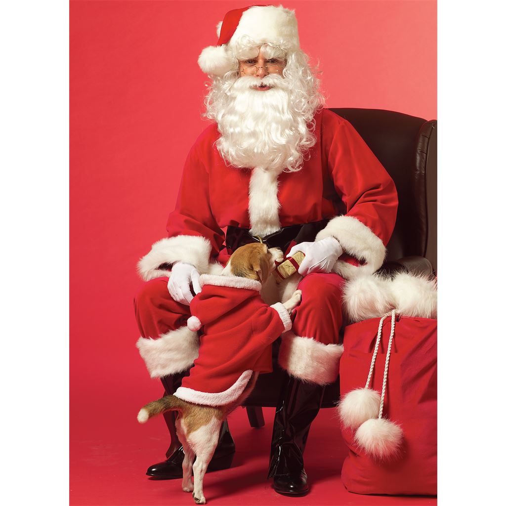 McCall's Pattern M5550 Misses Mens Santa Costumes and Bag 5550 Image 5 From Patternsandplains.com.jpg