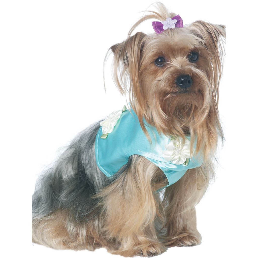 McCall's Pattern M6218 Pet Clothes 6218 Image 3 From Patternsandplains.com.jpg