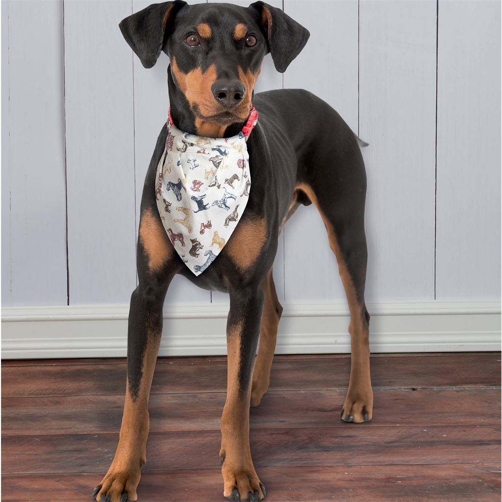 Simplicity Sewing Pattern S9446 Pet Crate Covers in Three Sizes and Accessories 9446 Image 6 From Patternsandplains.com