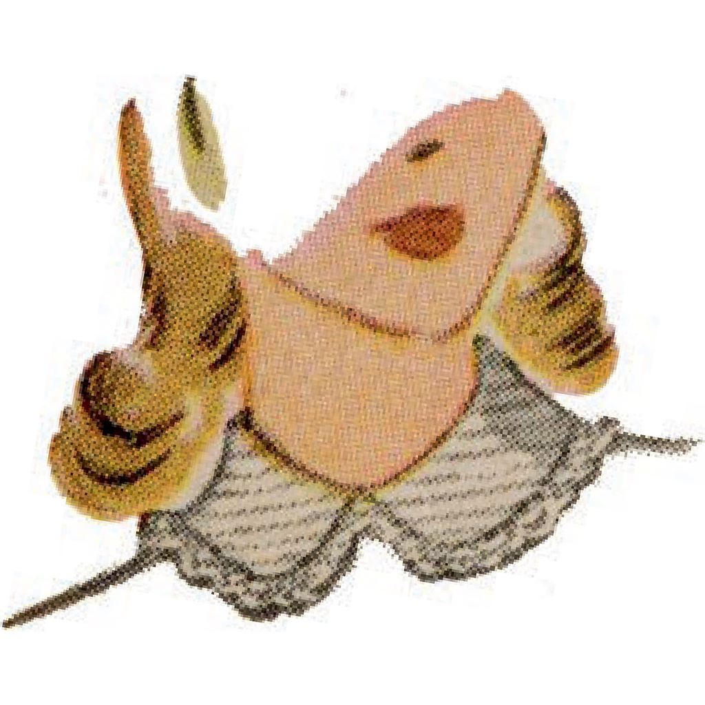 Simplicity Sewing Pattern S9448 Misses Dickey Set 9448 Image 9 From Patternsandplains.com