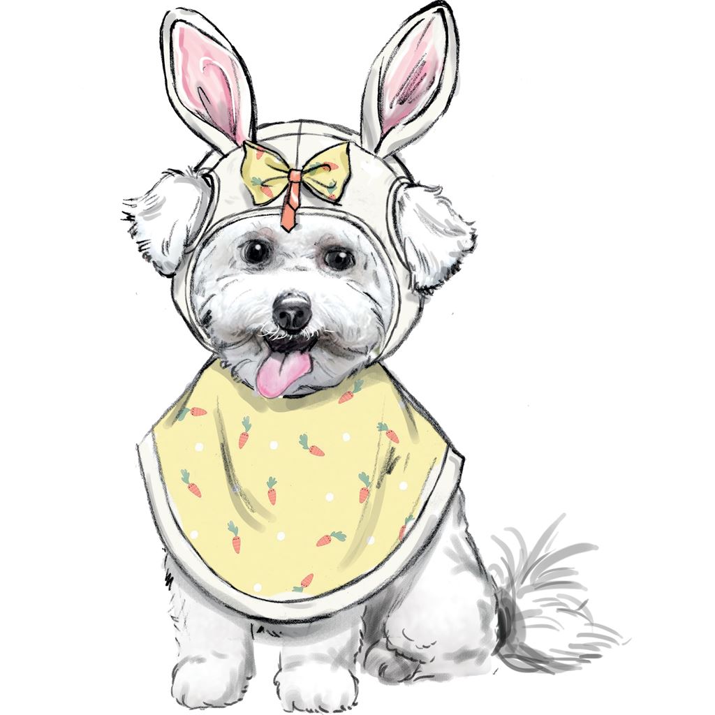 Simplicity Sewing Pattern S9497 Pet Accessories 9497 Image 2 From Patternsandplains.com