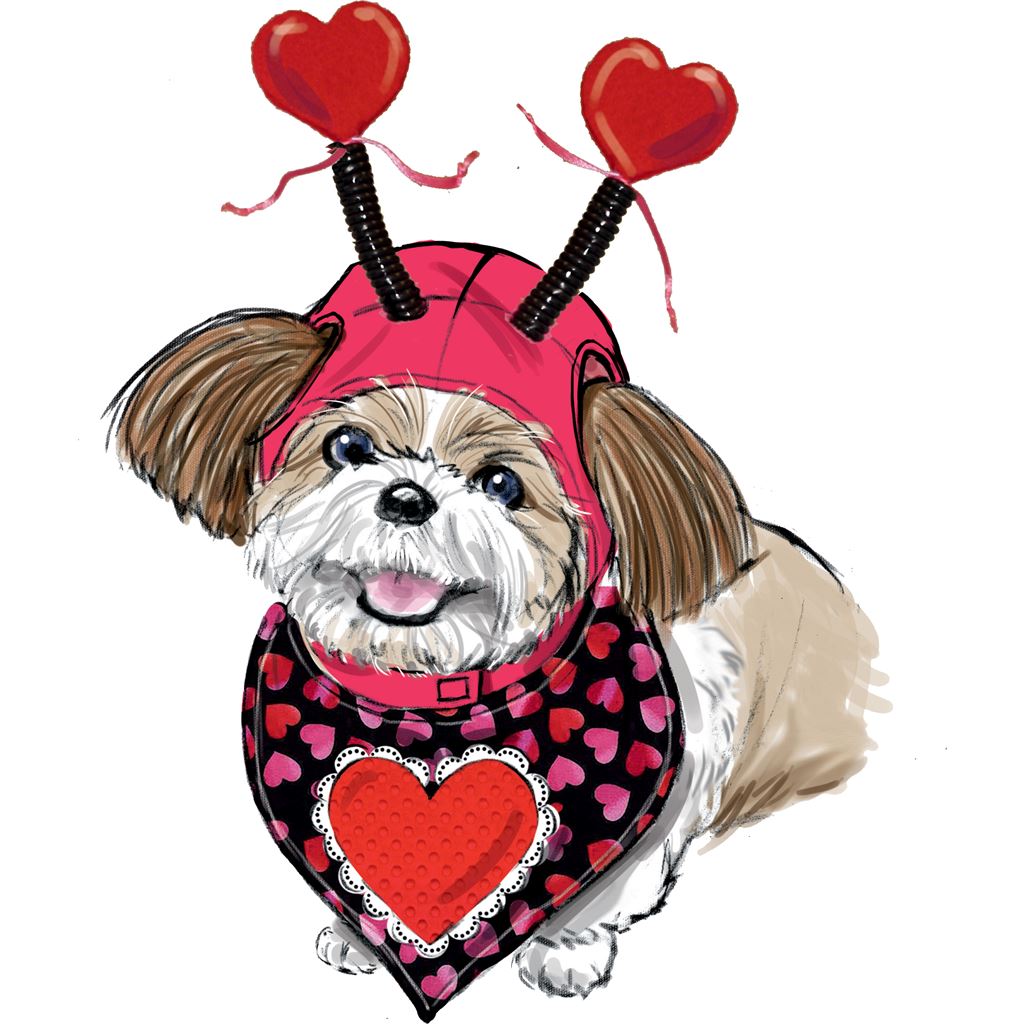 Simplicity Sewing Pattern S9497 Pet Accessories 9497 Image 3 From Patternsandplains.com