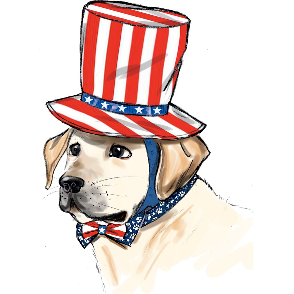 Simplicity Sewing Pattern S9497 Pet Accessories 9497 Image 6 From Patternsandplains.com