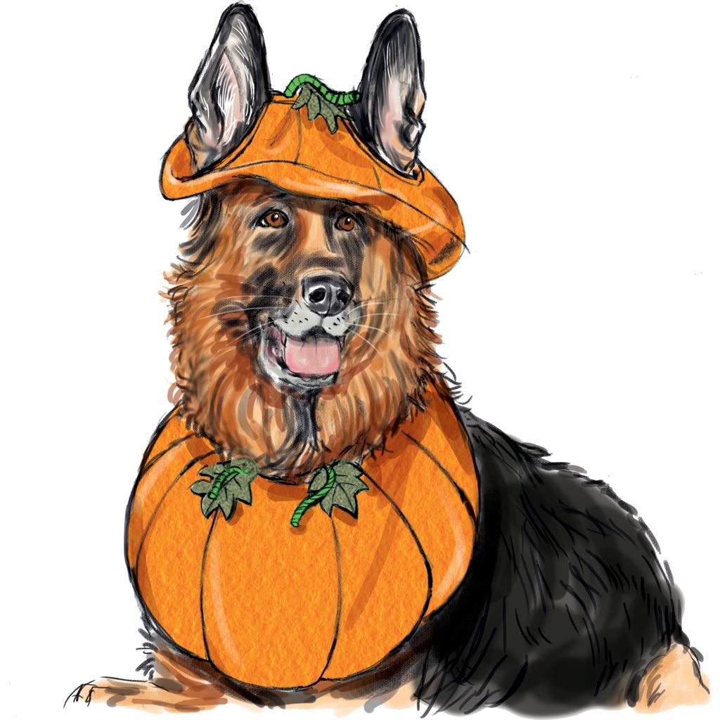 Simplicity Sewing Pattern S9497 Pet Accessories 9497 Image 7 From Patternsandplains.com