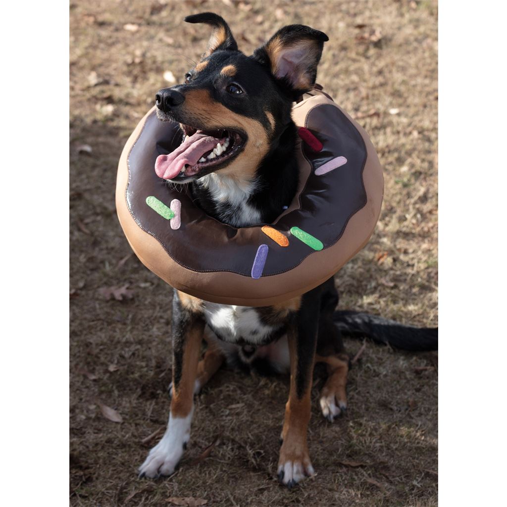 Simplicity Sewing Pattern S9582 Pet Elizabethan Collars by Carla Reiss 9582 Image 2 From Patternsandplains.com