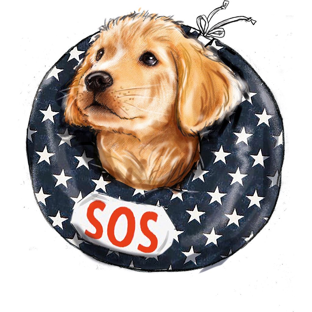 Simplicity Sewing Pattern S9582 Pet Elizabethan Collars by Carla Reiss 9582 Image 5 From Patternsandplains.com