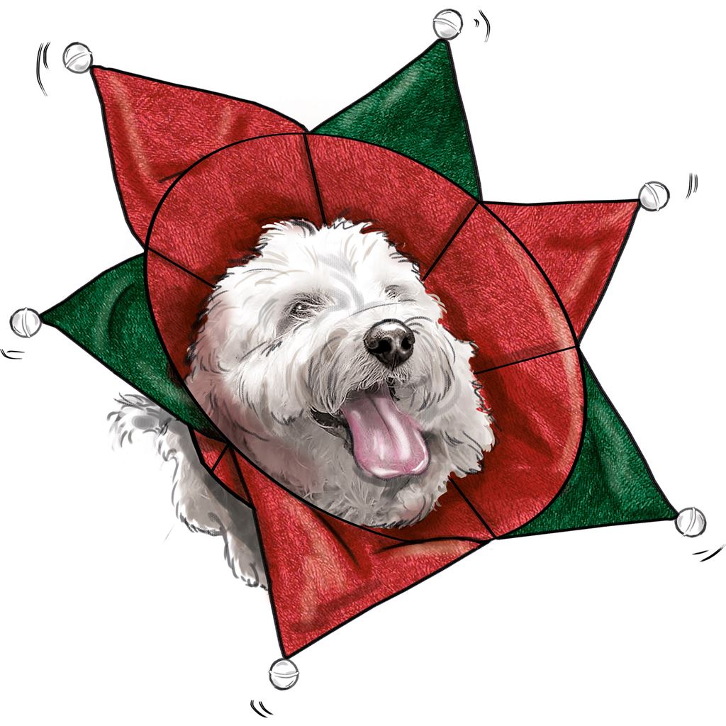 Simplicity Sewing Pattern S9582 Pet Elizabethan Collars by Carla Reiss 9582 Image 7 From Patternsandplains.com