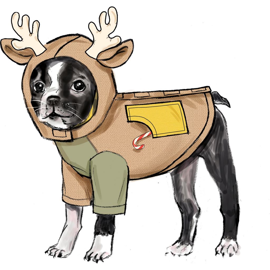 Simplicity Sewing Pattern S9663 Pet Coats with Optional Hoods and Cowls in Sizes S M L and Adult Cowl 9663 Image 4 From Patternsandplains.com