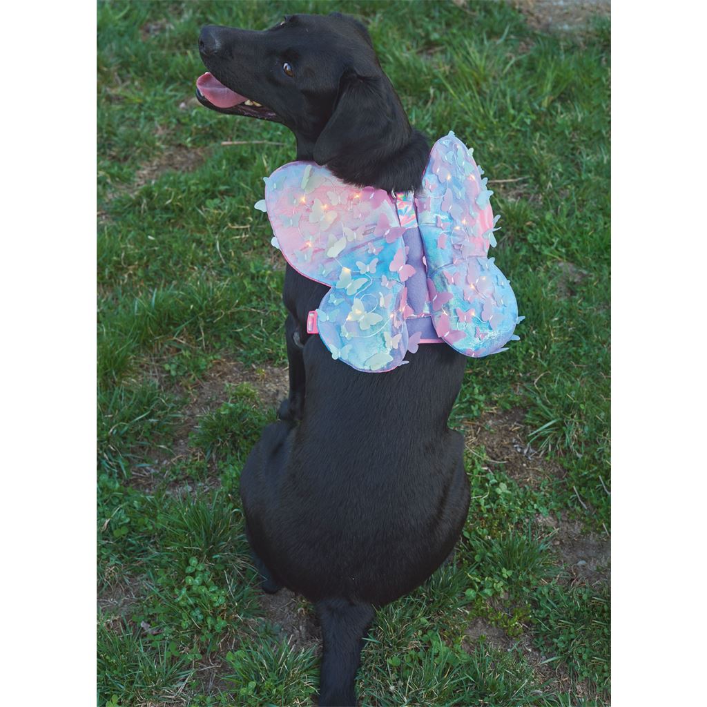 Simplicity Sewing Pattern S9875 Dog Harness with Wings by Carla Reiss Design 9875 Image 6 From Patternsandplains.com
