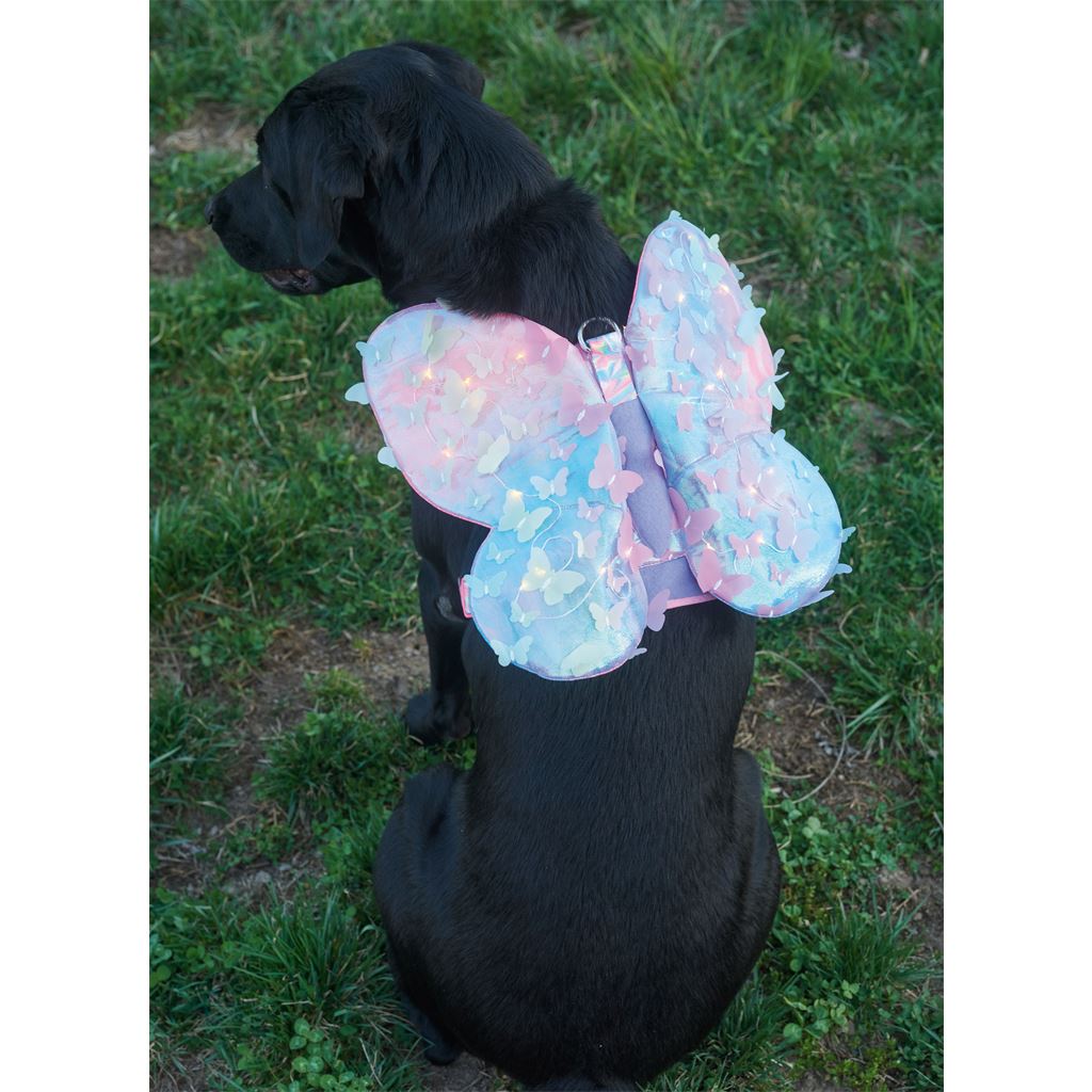 Simplicity Sewing Pattern S9875 Dog Harness with Wings by Carla Reiss Design 9875 Image 7 From Patternsandplains.com